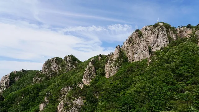 대둔산 등산코스 상세 등산지도와 안전한 산행 팁 2025_2