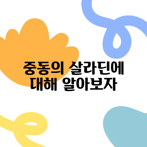 중동의 살라딘에 대해 알아보자