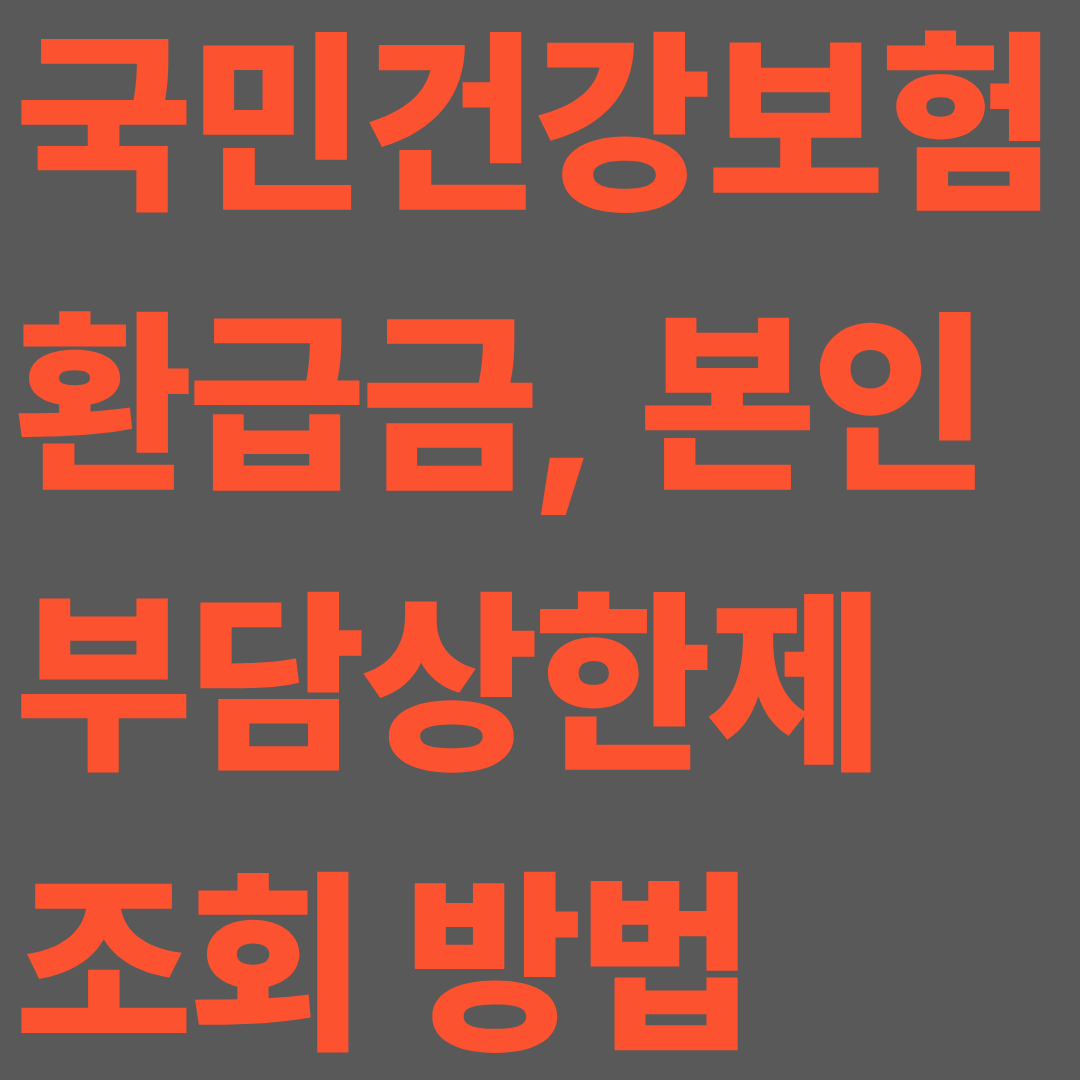 국민건강보험 환급금 본인 부담상한제 조회 방법
