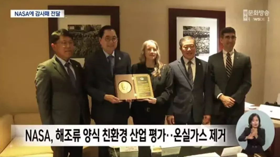 김 값 상승 요인_수출 증가