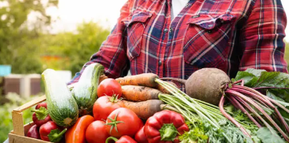 플랜트 기반 다이어트