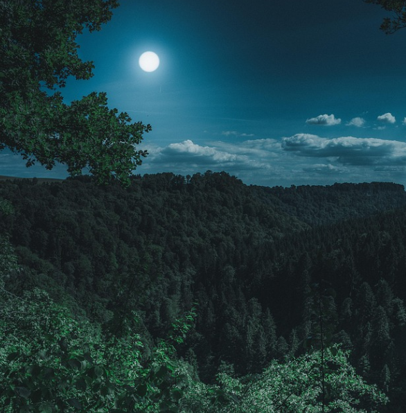 대야산의 자연경관 사진