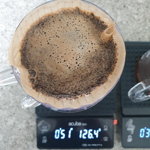 메리타 드리퍼를 사용한 12g 추출 레시피 (vs 타라치네 코니컬 30 드리퍼)