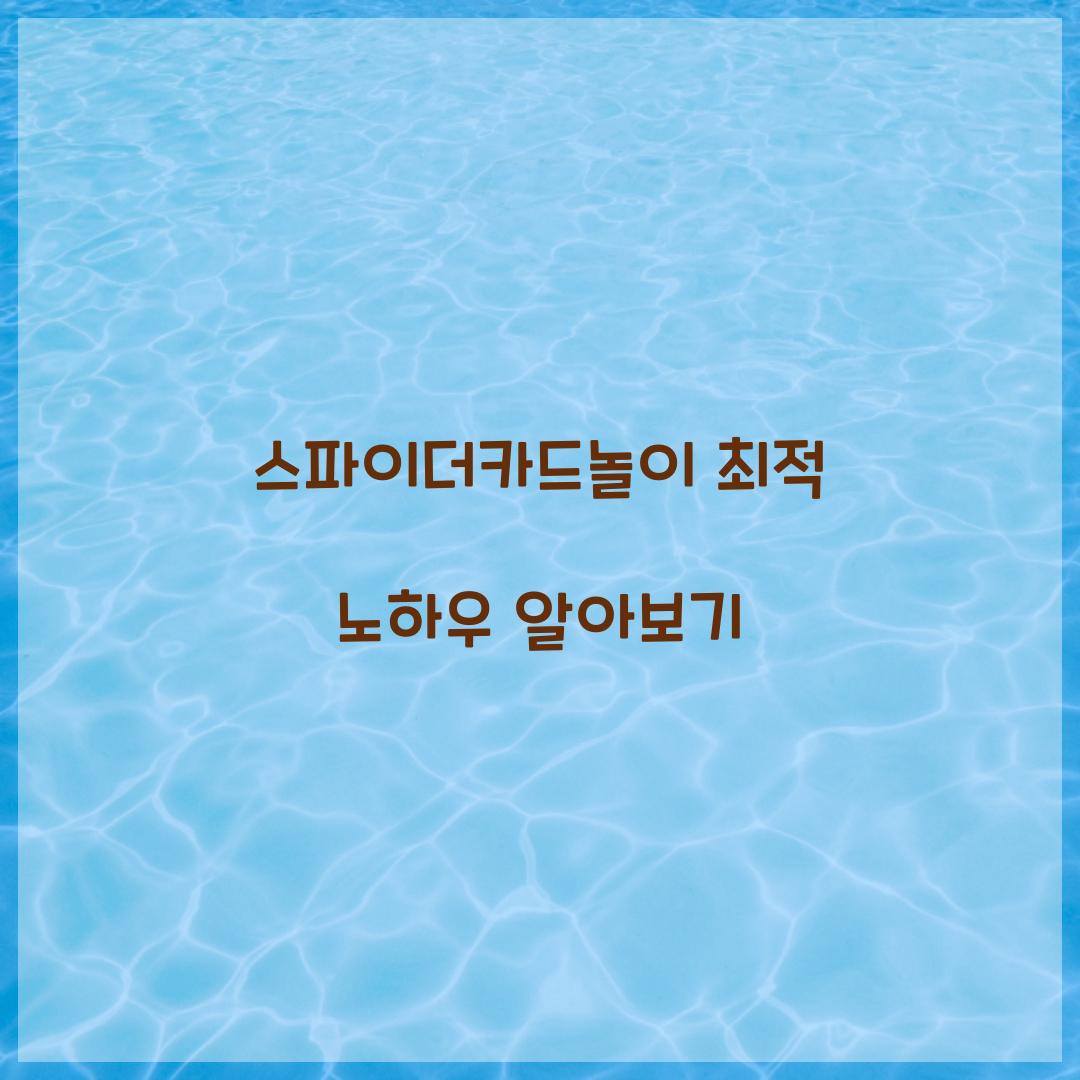 스파이더카드놀이