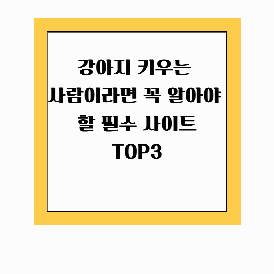 🐶 강아지 키우는 사람이라면 꼭 알아야 할 필수 사이트 3곳!