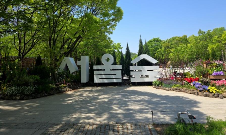 서울단풍명소 추천