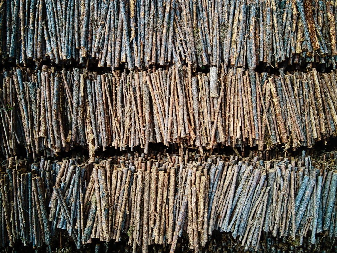 Reserves