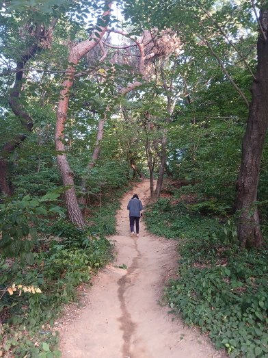 경사진 오르막 서울 어린이대공원 흙길을 맨발로 걷고 있는 사람의 뒷모습, 서울맨발 걷기 좋은곳