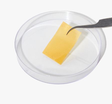 비엘피제로셋-찐후기