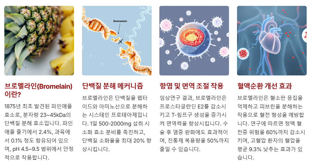 브로멜라인 주요기능