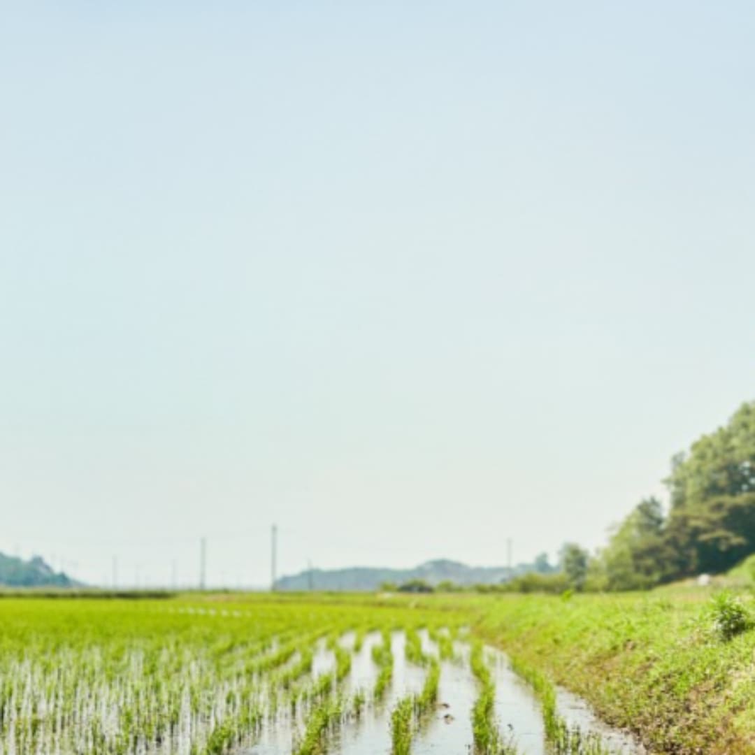 민생회복지원금 누가 받을수있나