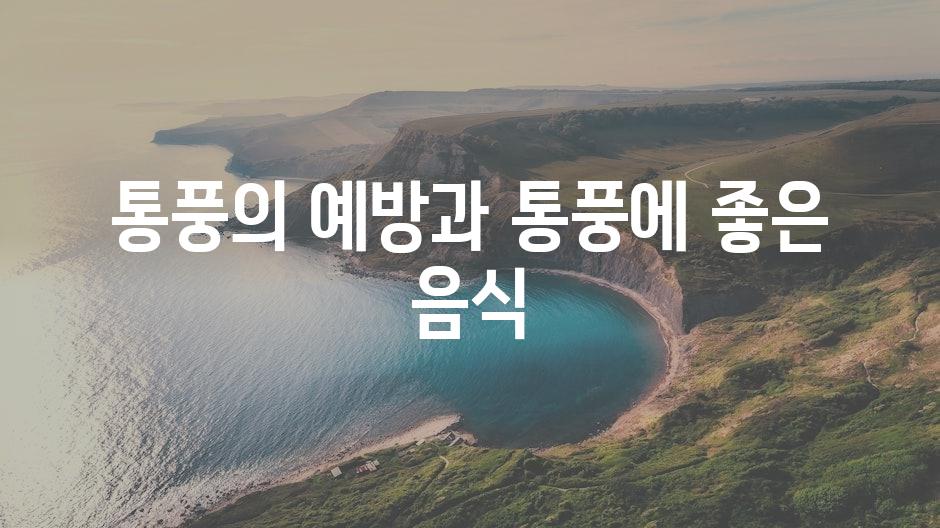 샘플 (11)