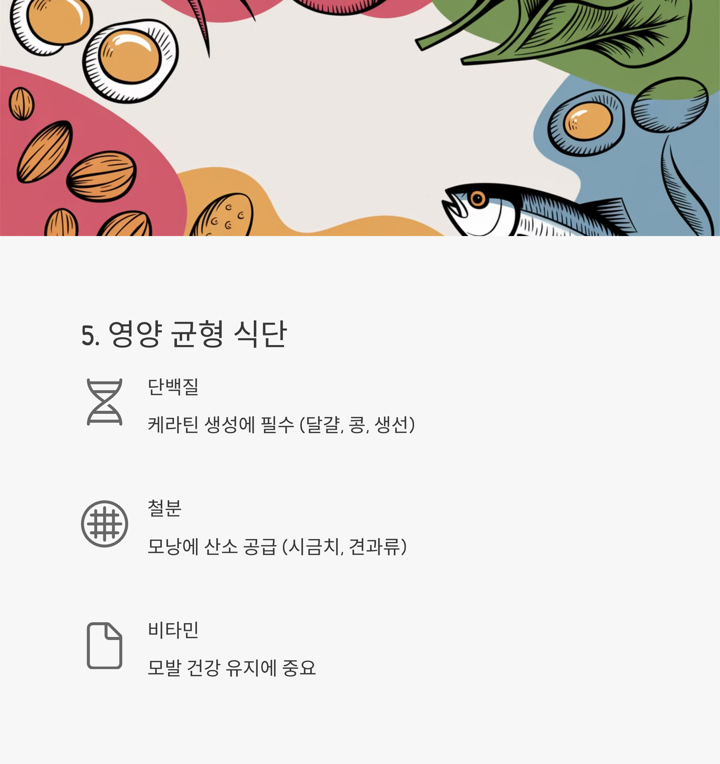 각종 좋은 영양을 주는 식단 이미지