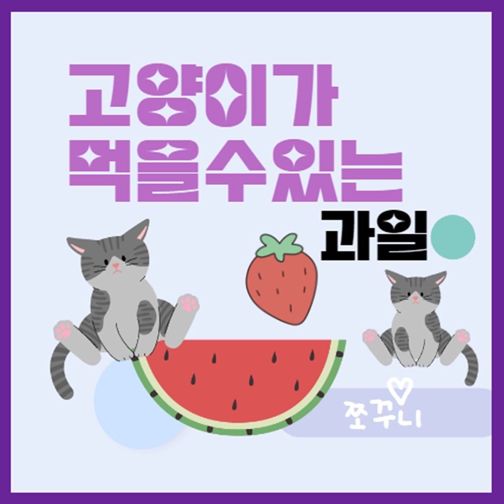 고양이가 먹을수 있는 과일