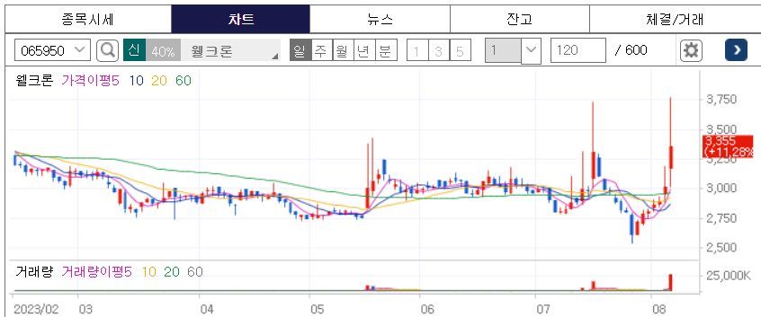초전도체, 호신용품 관련주2
