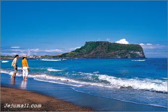 성산포항 여객터미널 우도 배시간표 배편 예약 요금_7