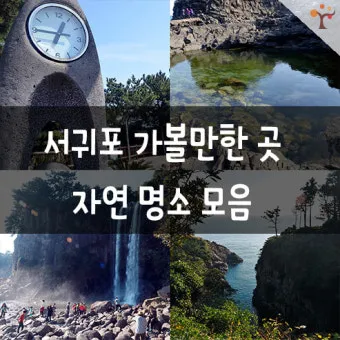 서귀포 가볼만한곳 베스트10 천지연폭포 정방폭포 야시장 산책_7