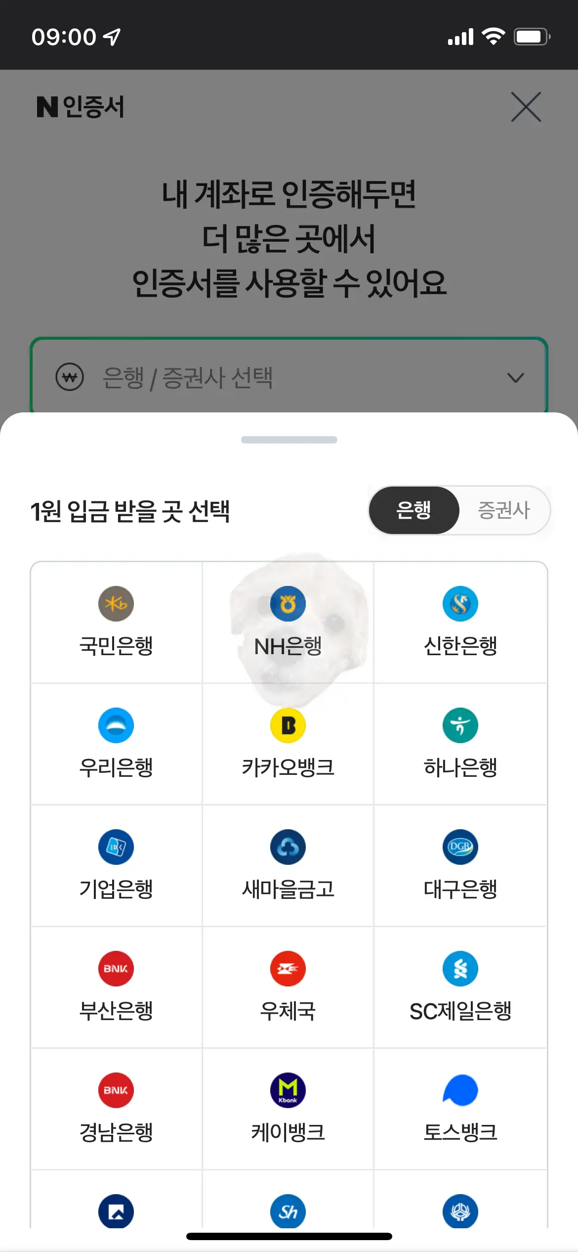 2차 인증절차 진행