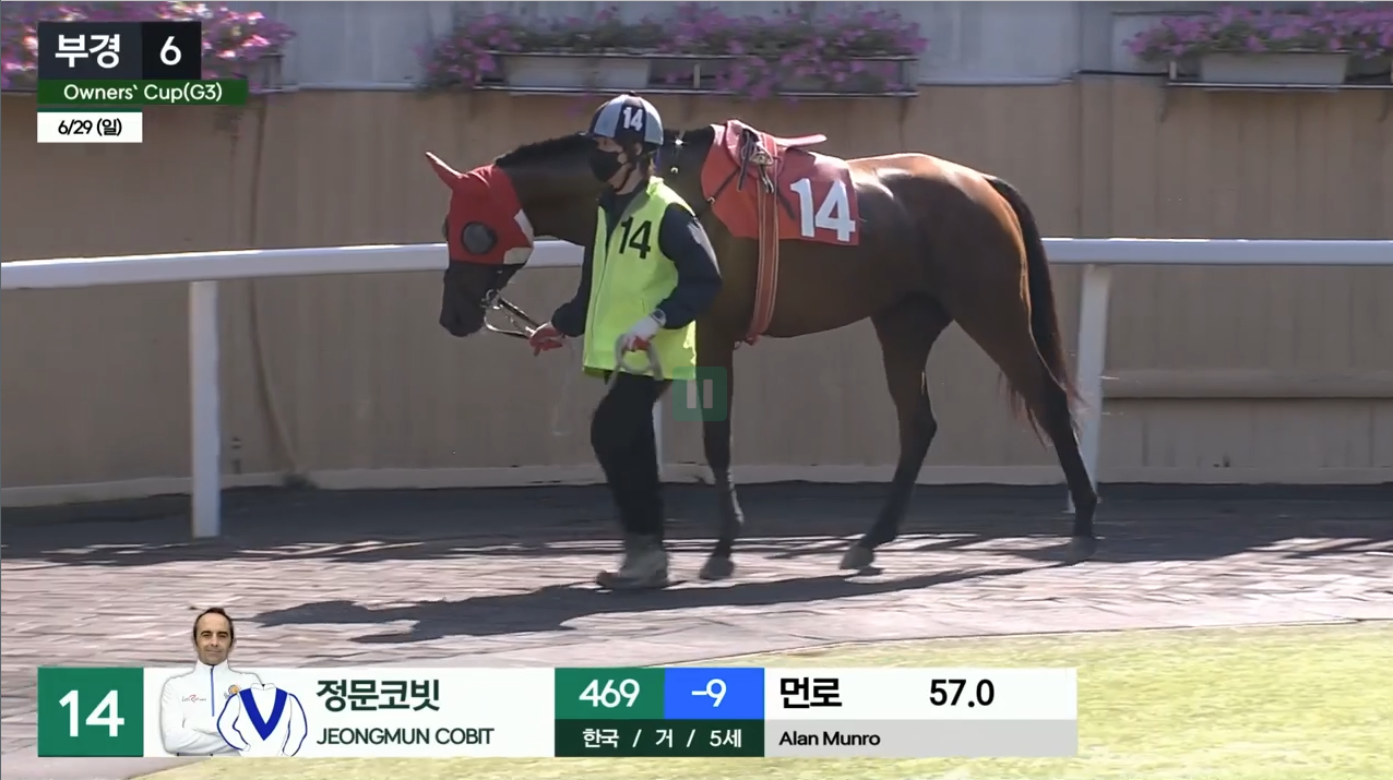 정문코빗