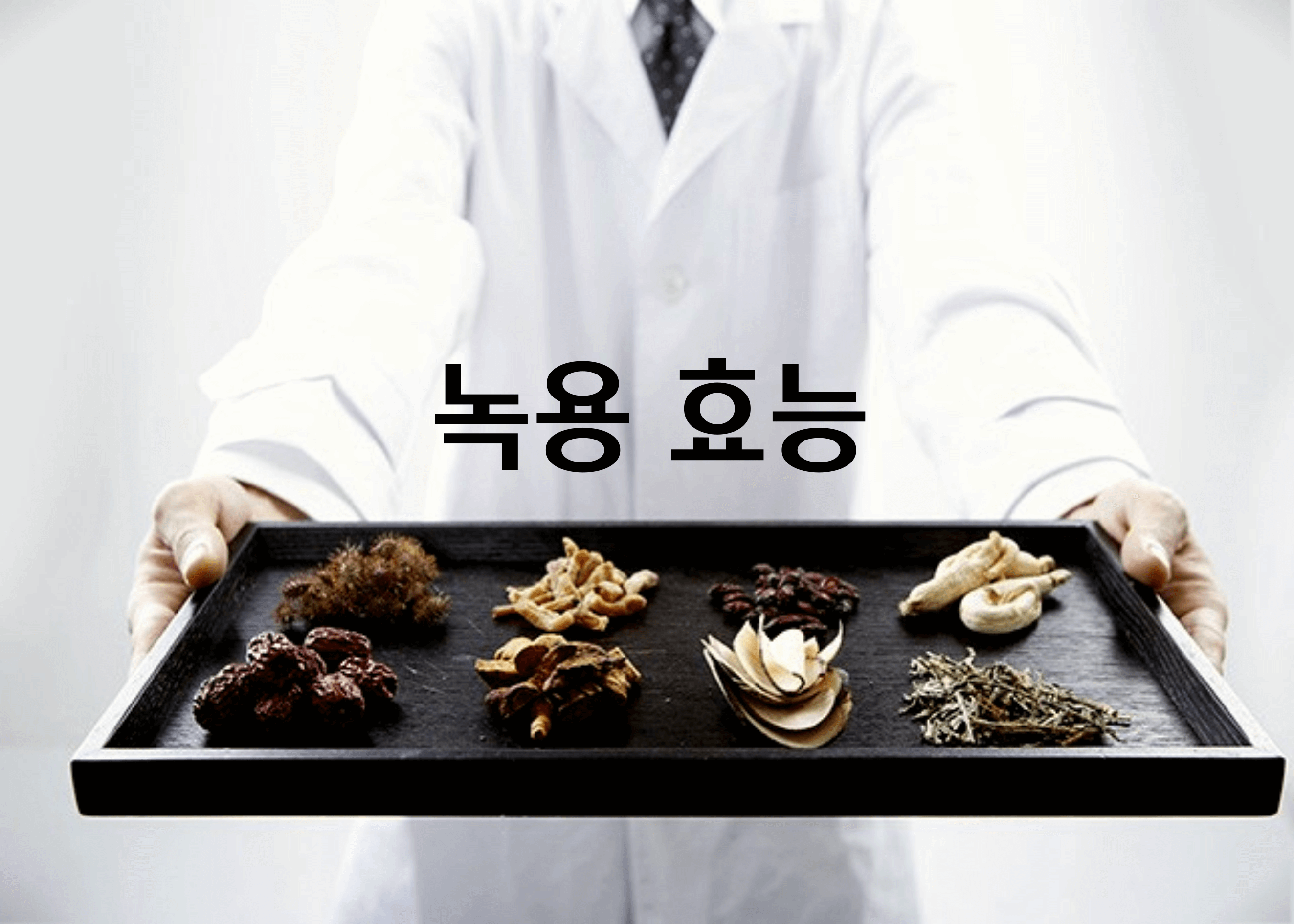 녹용 효능
