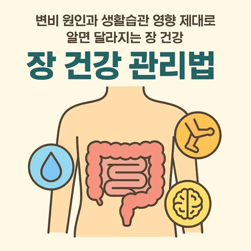 변비 원인과 생활습관