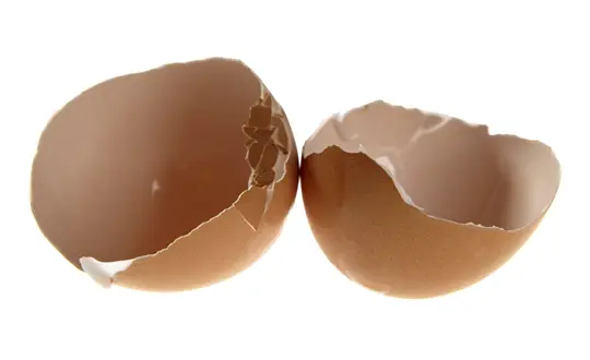 계란 껍질