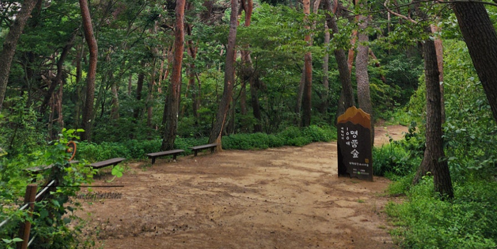 남한산성 숲길