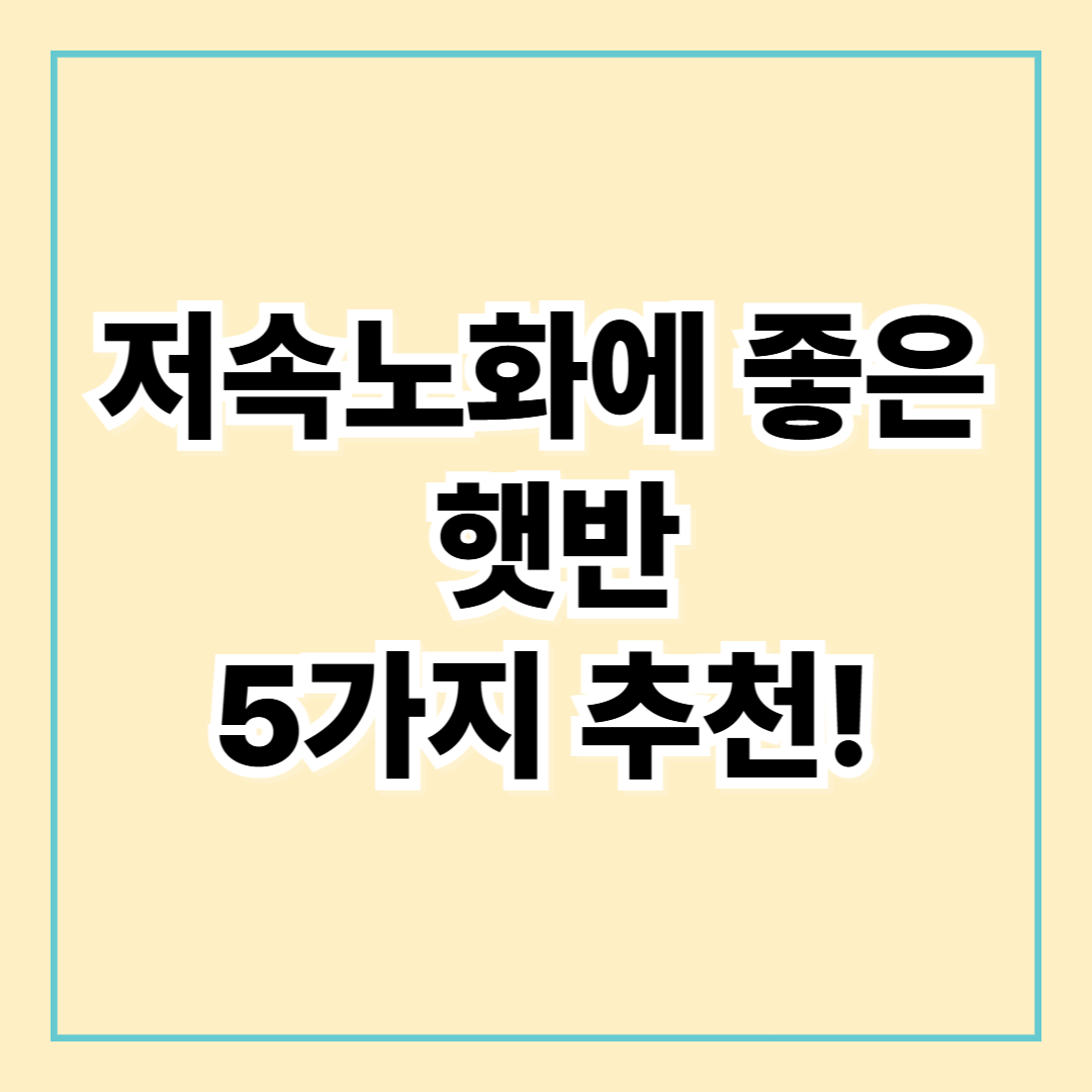 저속노화에 좋은 햇반 5가지 추천!