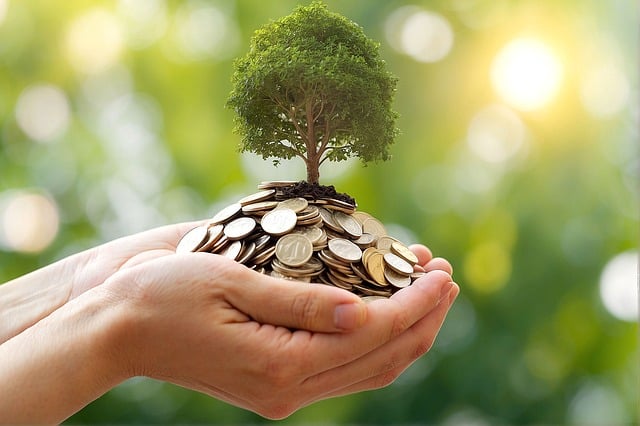 청년내일저축계좌 관련 사진