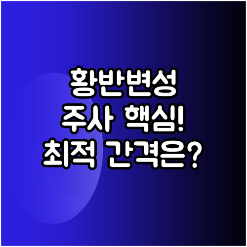 습성 황반변성 Anti-VEGF 주사..