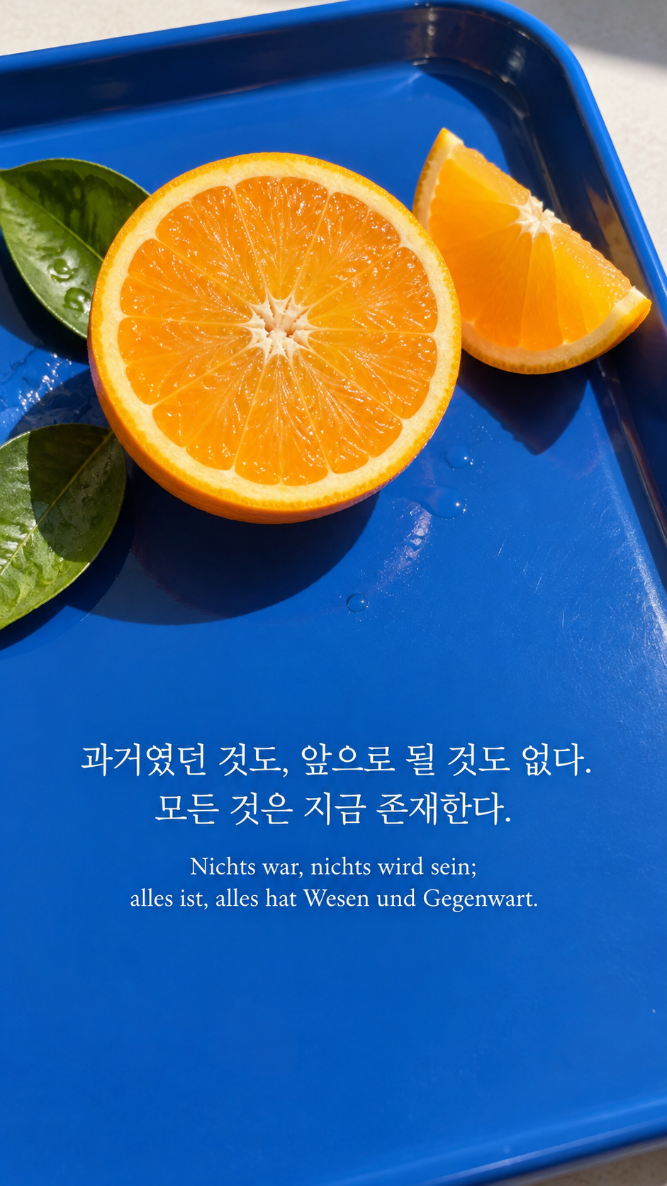 독일어 명언 19 헤르만 헤세 과거였던 것도, 앞으로 될 것도 없다. 모든 것은 지금 존재한다. — 파란 쟁반 위 갓 자른 오렌지