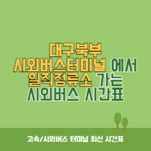 대구북부시외버스터미널에서 일직정류소 가는 시외버스 시간표 최신정보