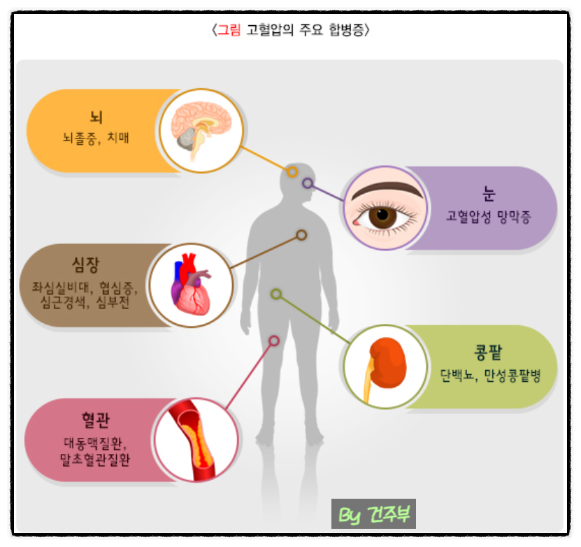 고혈압 합병증과 혈압을 낮추는 식이요법
(글 그림 : 건주부, 그림 출처 : Canva)
