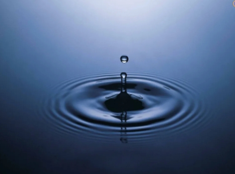 물의 밀도와 다른 액체의 밀도를 비교하는 모습