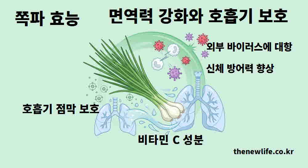쪽파 효능 면역력 강화 호흡기 보호
