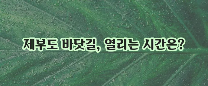 제부도 물때 시간표