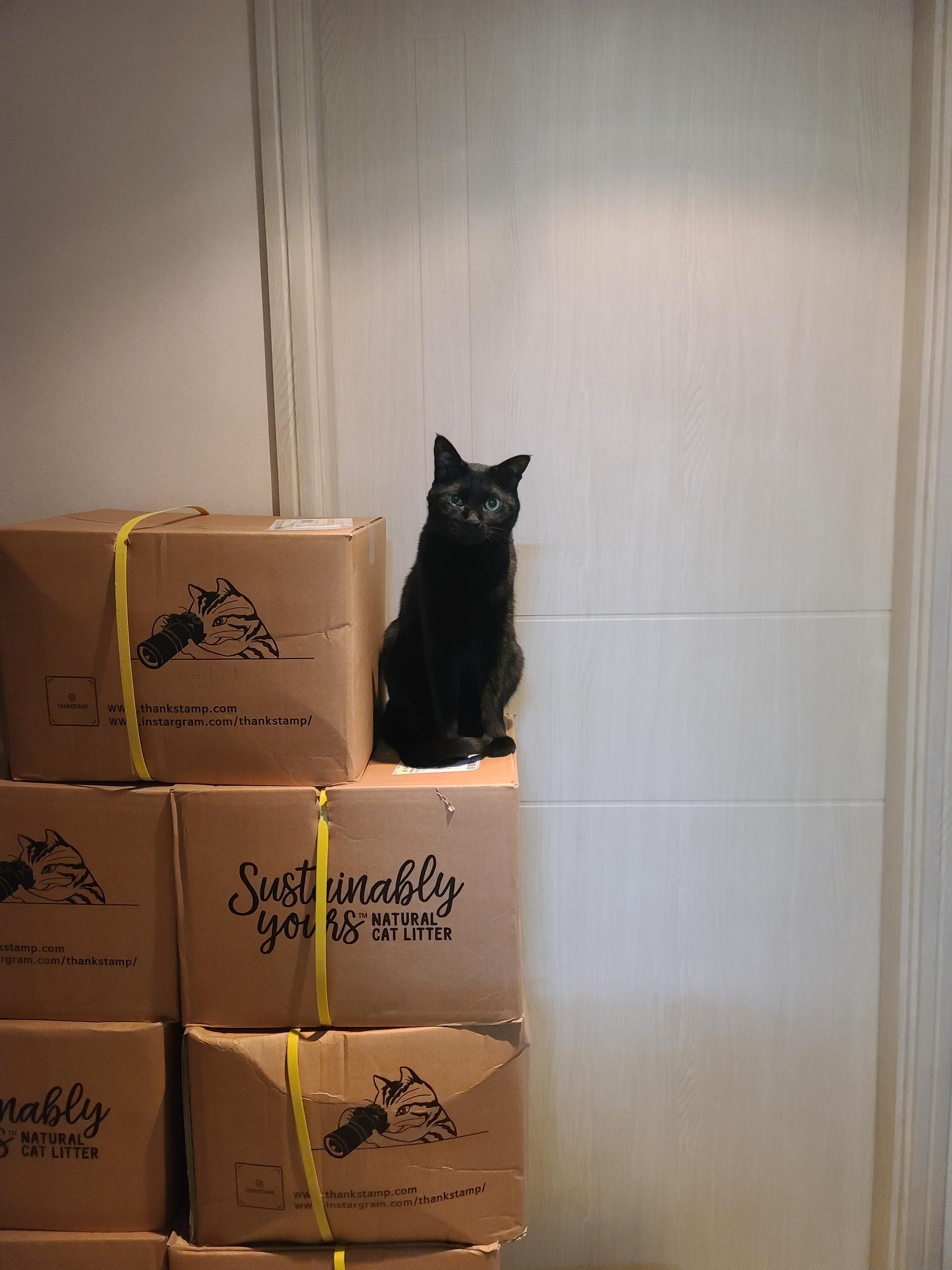 늘 함께하는 사이좋은 호야랑 건이