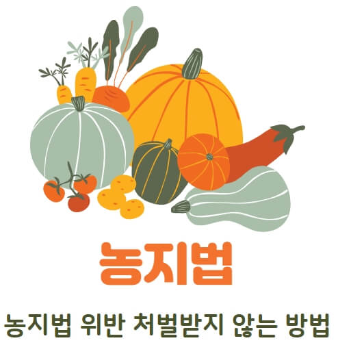 농지법-위반-처벌받지-않는-방법