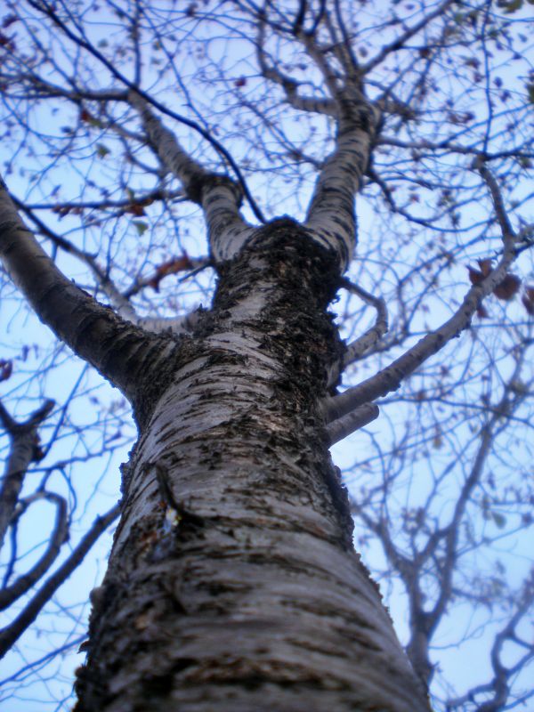 기장군 철마면 이곡마을