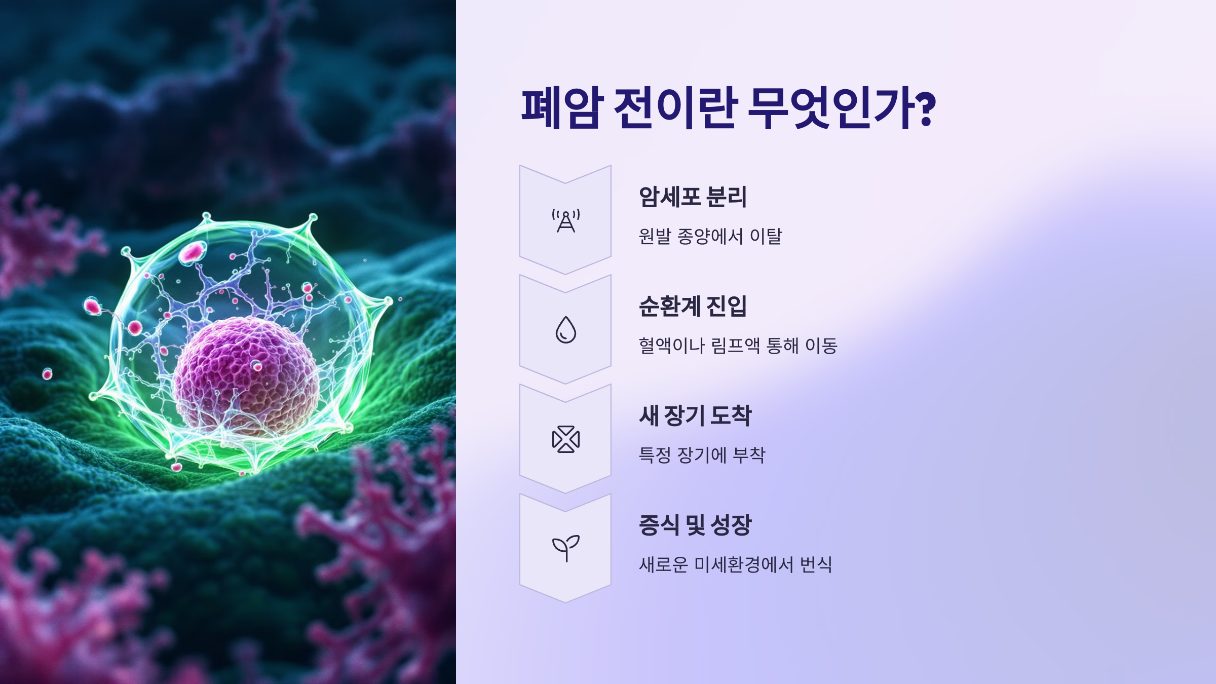폐암 전이란 무엇인가?
