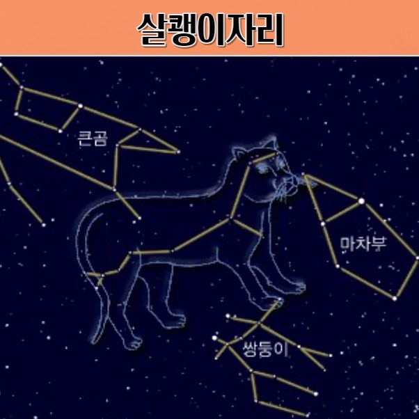 살쾡이자리 공개 봄 하늘의 천상의 걸작
