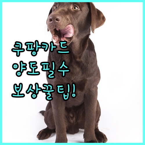 쿠팡 기프트카드 보상권 양도 핵심 요..