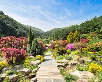 아침고요수목원_11