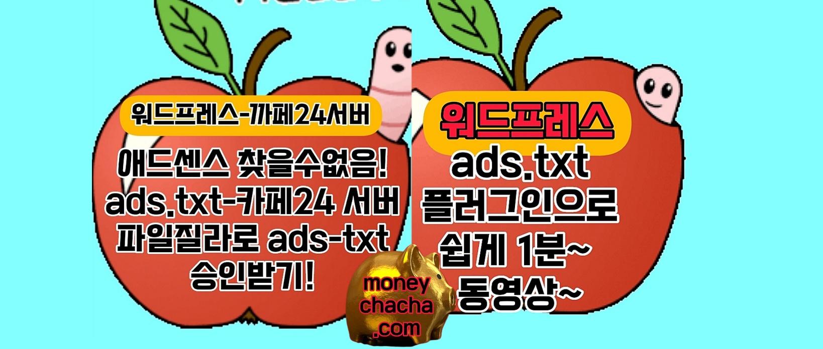 워드프레스-ads.txt-승인됨 1.카페24 워드프레스-파일질라-FTP?활용-2.ads.txt Manager 플러그인-붙여 넣기