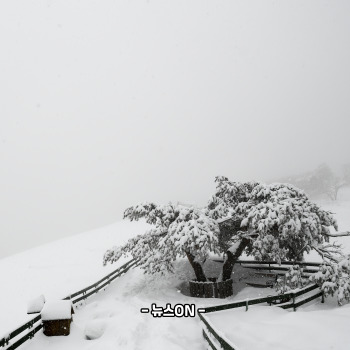 12월에 가볼만한 국내 여행지