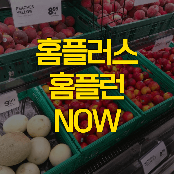 홈플러스-홈플런-전단-대표-사진