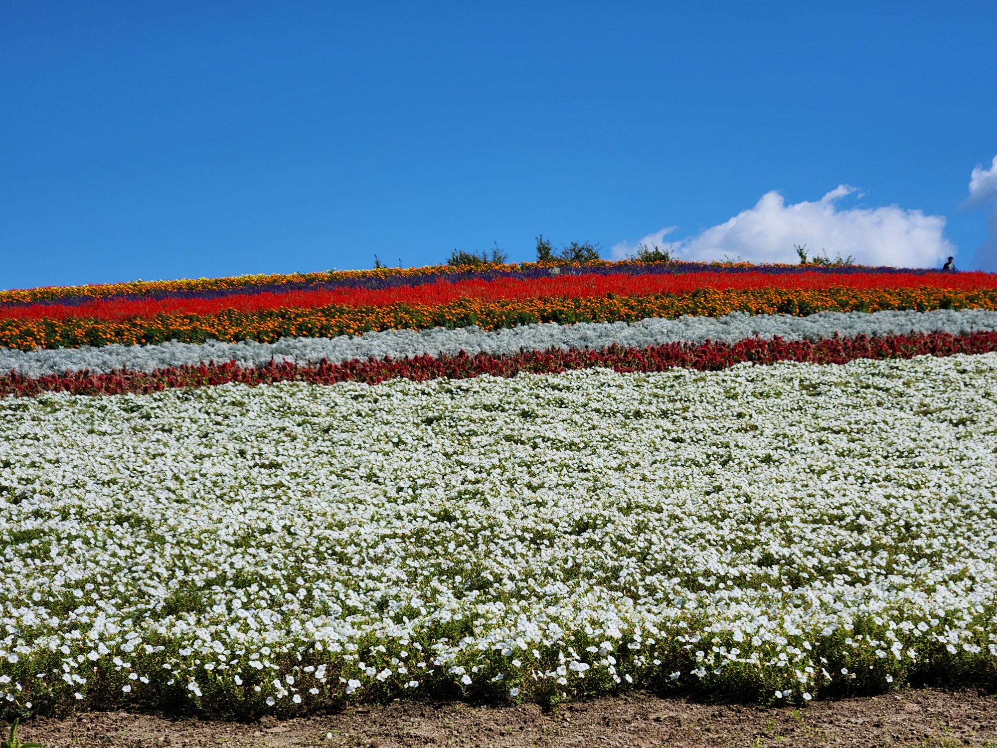 사계체 언덕 - 27