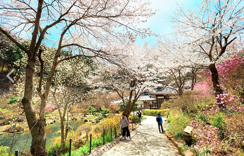 여행과 데이트하기 좋은 곳