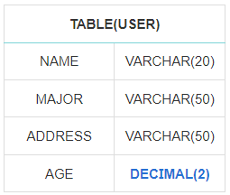AGE 타입 변경 후 테이블