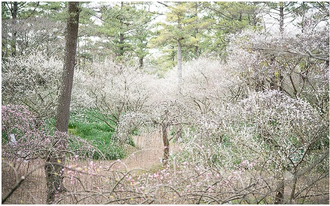제주도 축제 일정